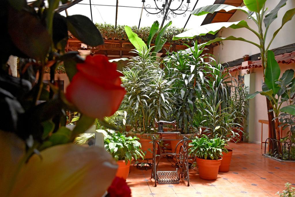 Hotel San Luis San Cristóbal de Las Casas المظهر الخارجي الصورة